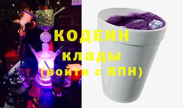 шишки Костерёво