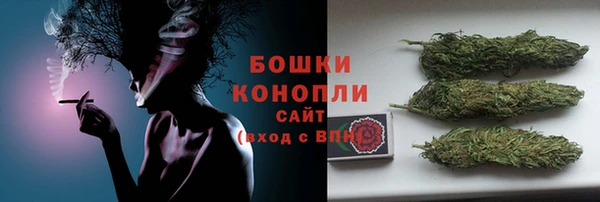 шишки Костерёво