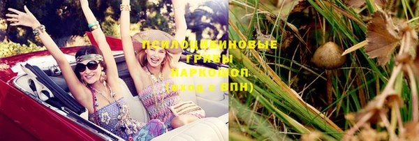 кокс Корсаков